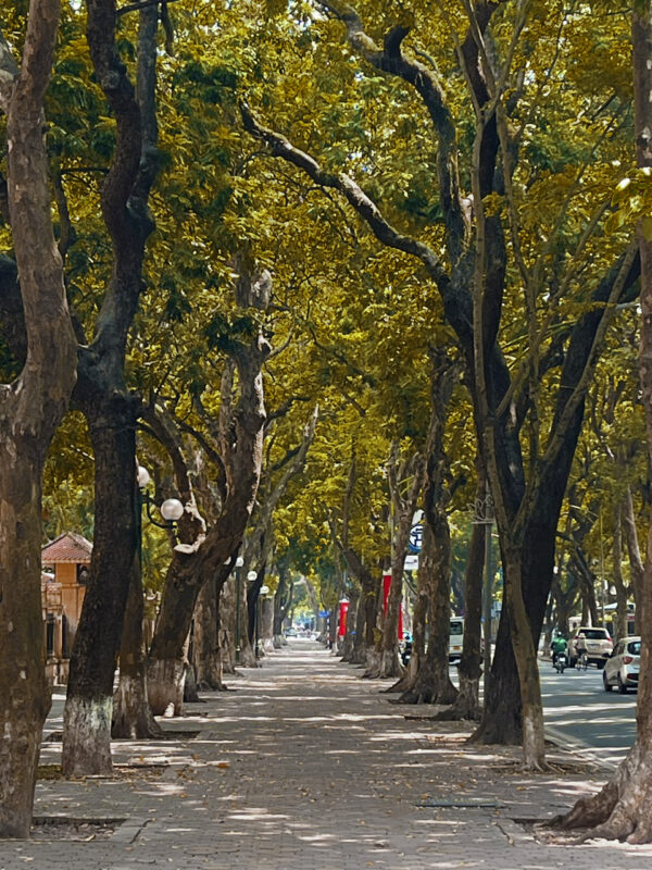 Tạo dáng chụp ảnh áo dài mùa thu Hà Nội làm sao đẹp