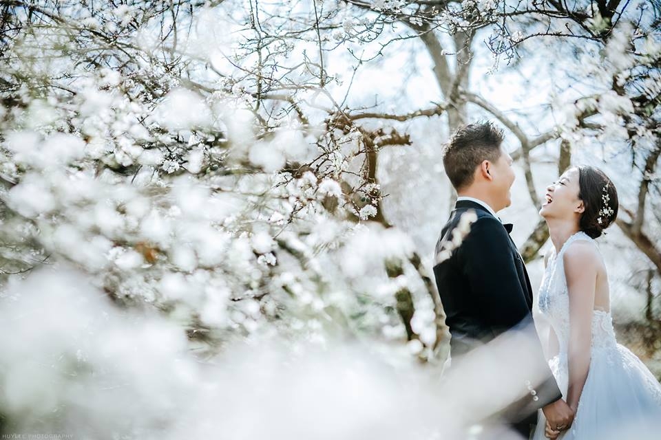 Vì sao Du lịch kết hợp chụp ảnh cưới 2026 đang “lên ngôi”?